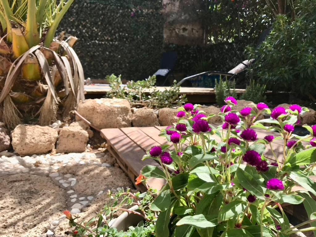 Ferienhaus Casa Vivaqi Tenerife Granadilla De Abona
